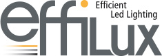 logo EFFILUX