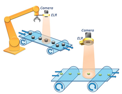 schema how to use the ELR